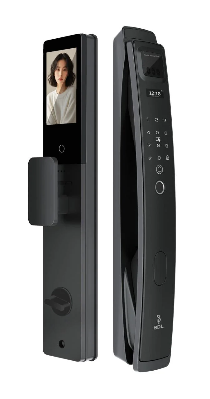 SDL 002: The Ultimate 3D Face Recognition Smart Lock