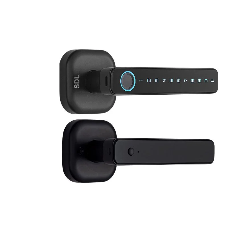 SDL 001: Smart Access for Smarter Living